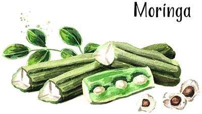 moringa