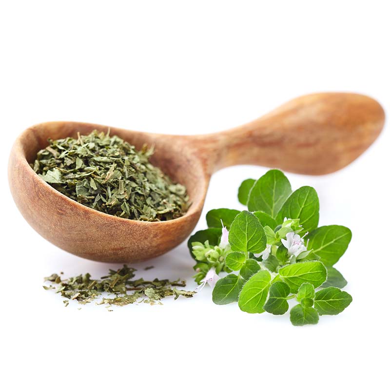 the super powers of oregano