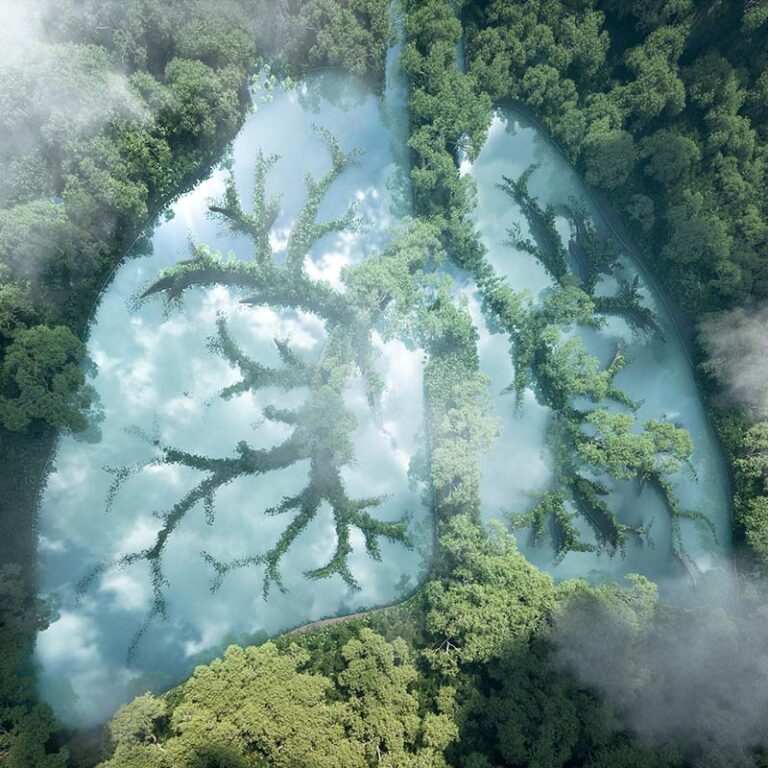 The Lungs Connection with Nature
