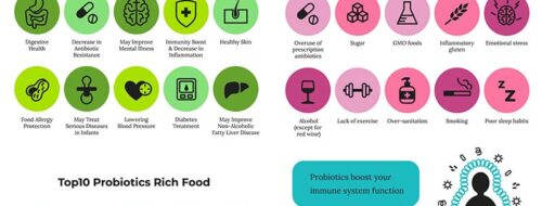 Benefits of Taking Prebiotics and Probiotics